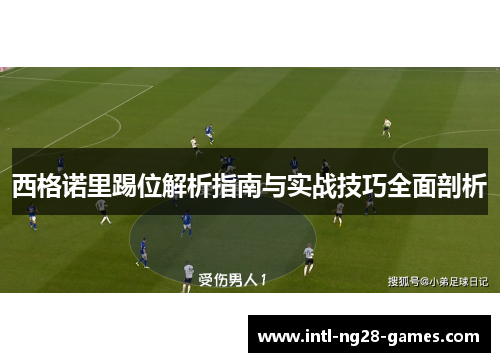 西格诺里踢位解析指南与实战技巧全面剖析 西格诺里踢位解析指南与实战技巧全面剖析
